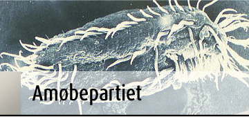 Partifoto