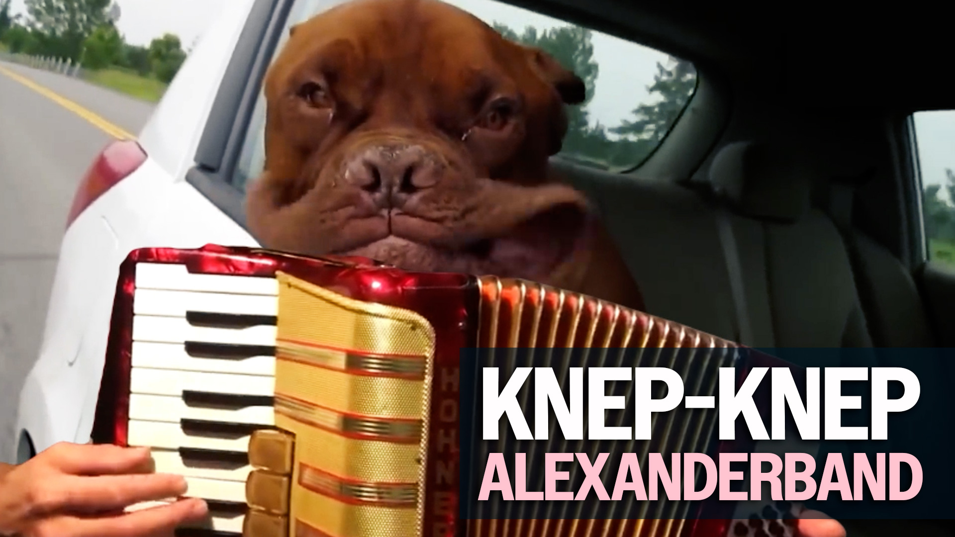 Knep KNEP-KNEP